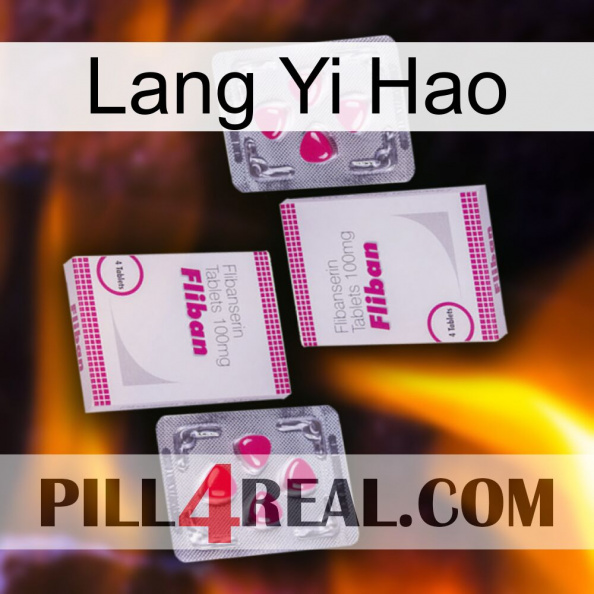 Lang Yi Hao 33.jpg